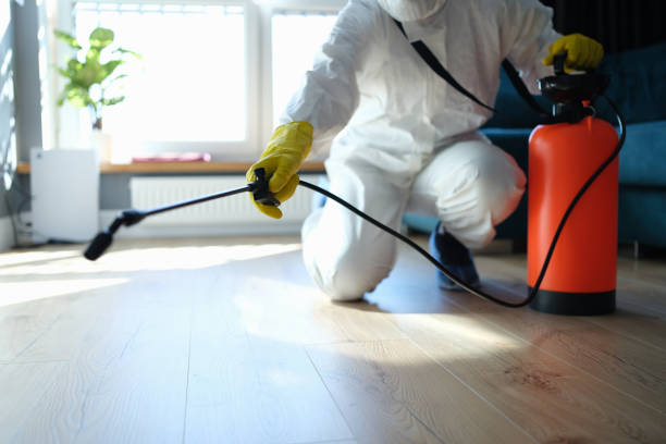 Trusted Sewage Cleanup service in Caroline, WI - Four Month Blood Cleanse
